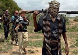 Farm Harvest Ends in Bloodshed as Gunmen Kill Five Farmers in Fresh Benue Attack
