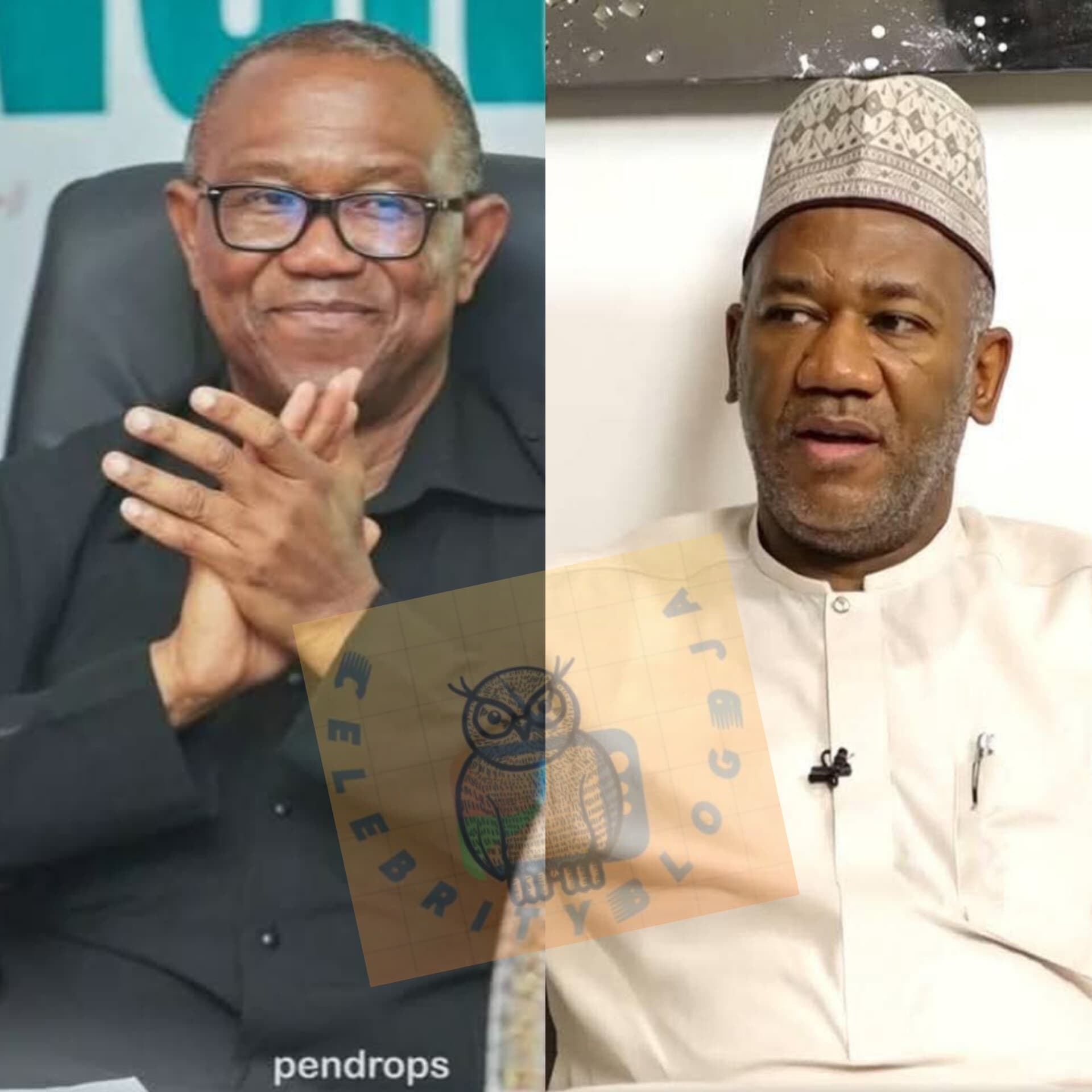 Datti Baba-Ahmed Says Peter Obi Can Return to Labour Party if ADC Ticket Bid Fails