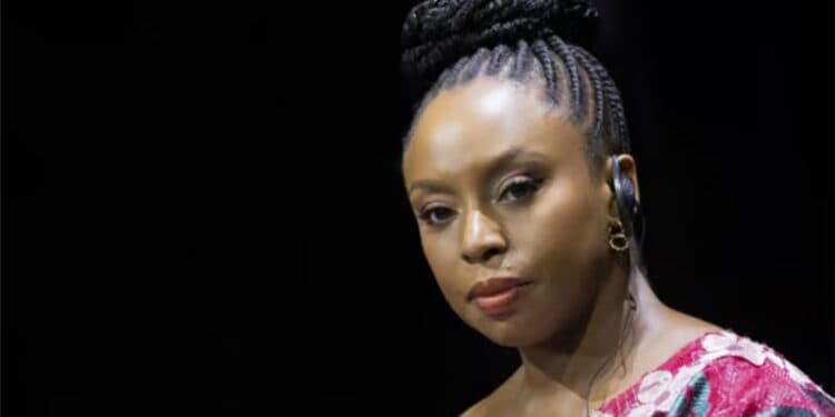 Chimamanda Ngozi Adichie sues Lagos hospital over son’s death, sparking scrutiny of private healthcare