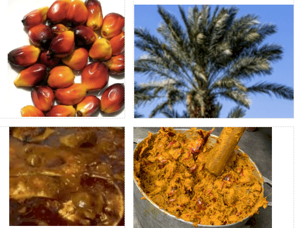 Palm Fruits - Banga Soup (Ofe Akwu): Nutrition Experts Explain The Real Health Benefits