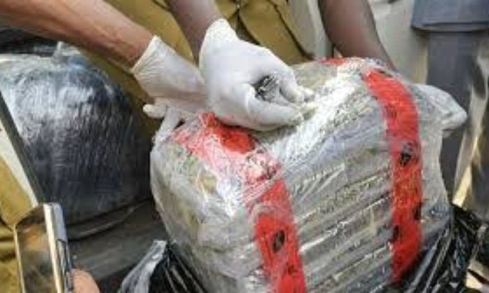 Lagos Customs Seize N18.96 Billion Cannabis Shipment Hidden in Imported Vehicles