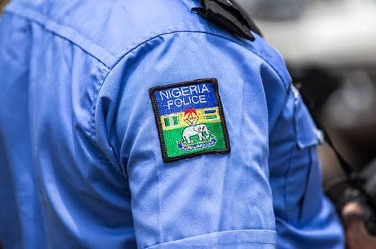 Ogun Police Link Stolen N180,000 Phone Case to Firearms Recovery and Cult Investigation