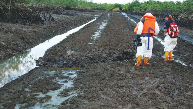 Ten Years After Buhari Flagged Off Ogoni Clean-Up, Key Targets Remain Incomplete