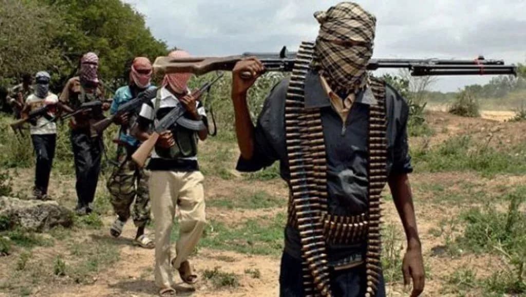 The attack began with gunfire near the hillside homes of a rural Federal Capital Territory settlement, according to residents who said armed men shot one man dead and abducted his younger brother before local vigilantes could stop them