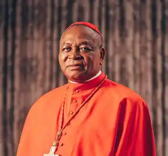 Cardinal Onaiyekan Drives Two Cars, 13 Years Old. That's the Point His Defenders Are Making