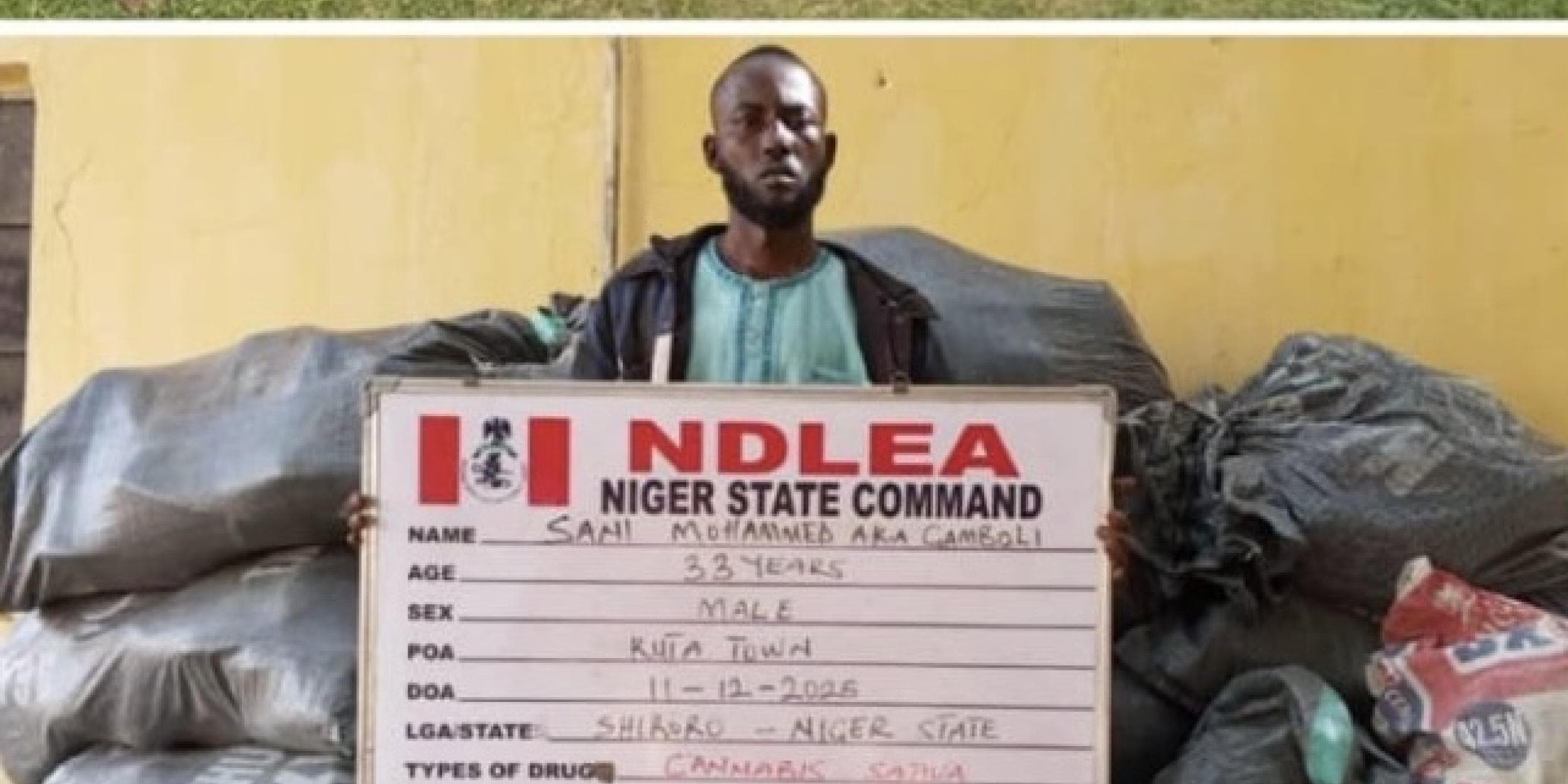 NDLEA Nabs Alleged Drug Supplier to Bandits, Seizes 471kg of Cannabis in Niger