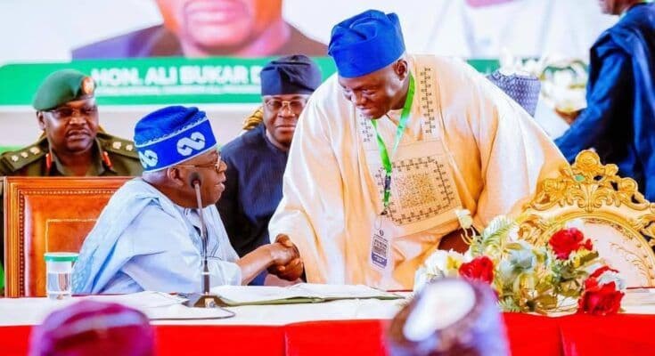 APC Chairman Says Tinubu Will Survive 2027 Security Backlash Despite Rising Violence